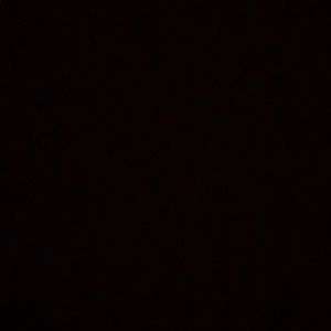 Meet your Posher, Leila